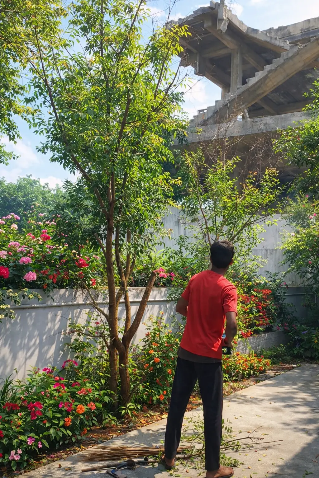 Professional Tree Removal Service