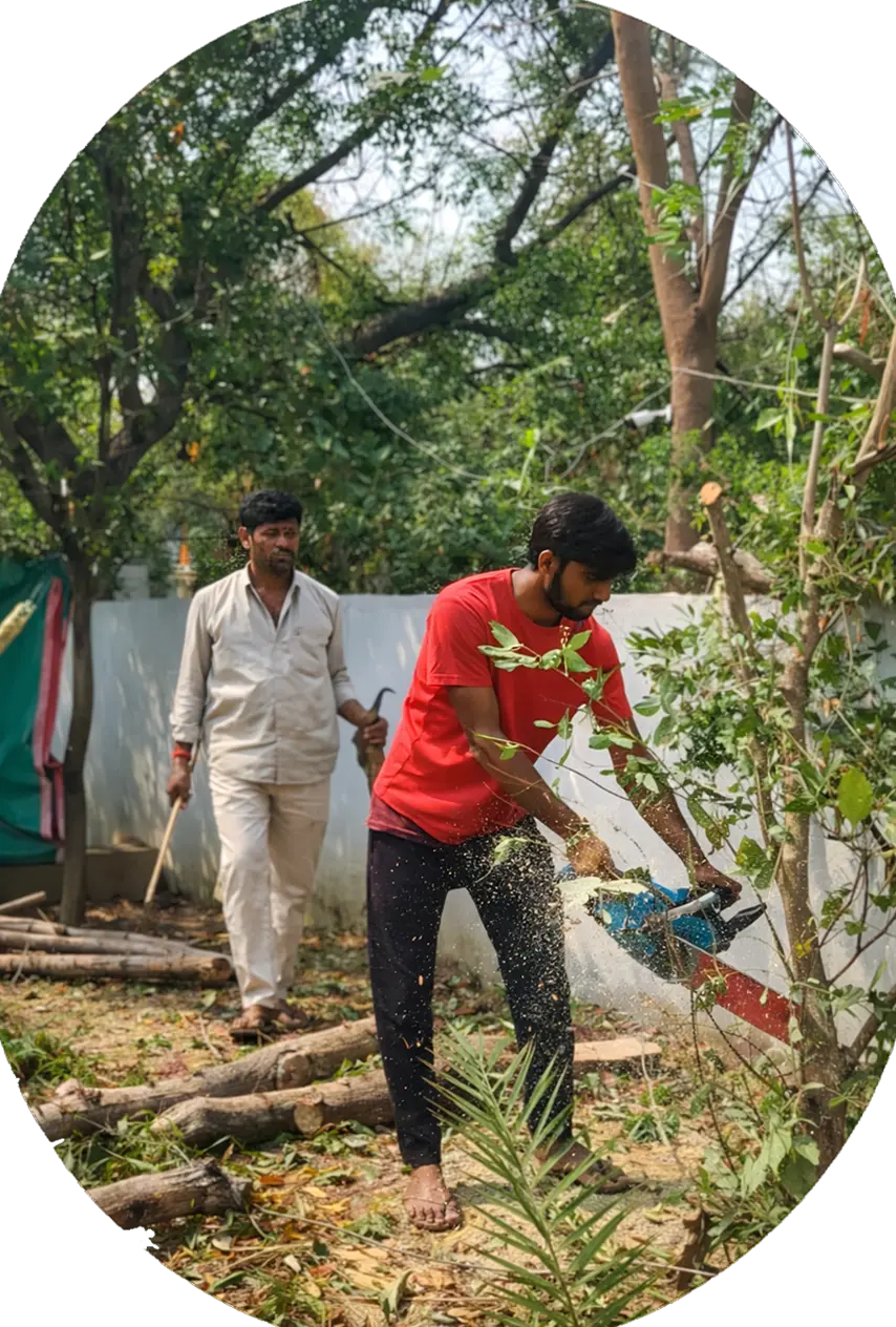 NHVN Professional Tree Cutting Team in Hyderabad performing safe tree cutting and removal