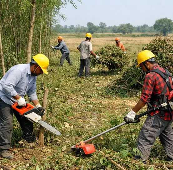  Subabul Tree Removal Service in Hyderabad